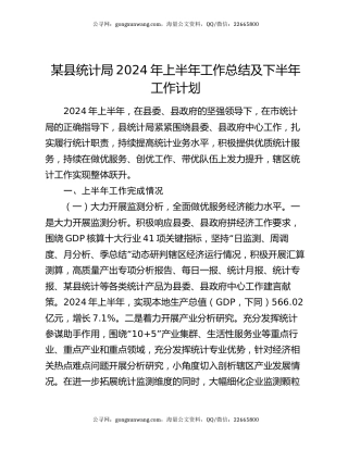 某县统计局2024年上半年工作总结及下半年工作计划