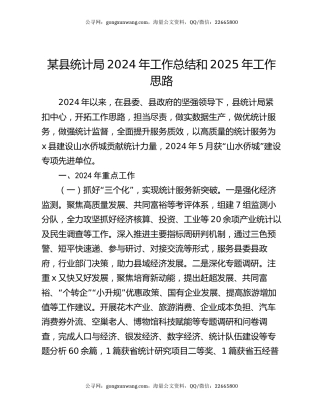 某县统计局2024年工作总结和2025年工作思路
