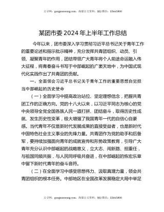 某团市委2024年上半年工作总结