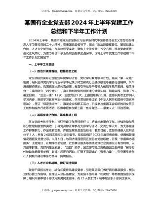 某国有企业党支部2024年上半年党建工作总结和下半年工作计划