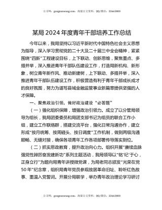 某局2024年度青年干部培养工作总结