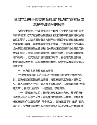 某局党组关于市委体育领域“机动式”巡察反馈意见整改情况的报告