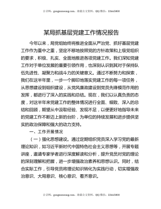 某局抓基层党建工作情况报告