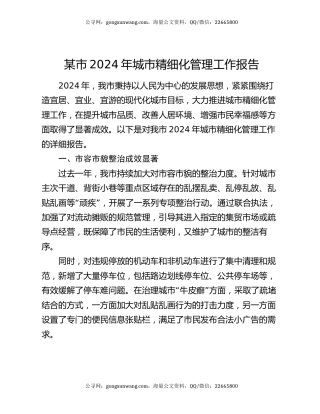 某市 2024 年城市精细化管理工作报告