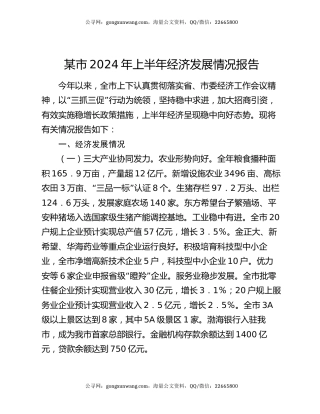 某市2024年上半年经济发展情况报告
