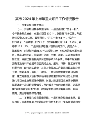 某市2024年上半年重大项目工作情况报告