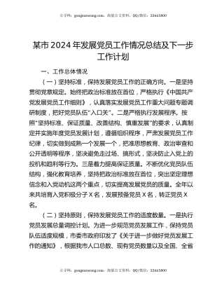 某市2024年发展党员工作情况总结及下一步工作计划