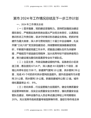 某市2024年工作情况总结及下一步工作计划