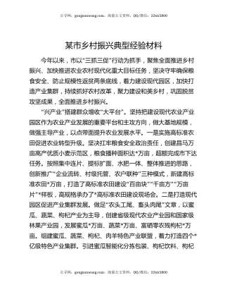 某市乡村振兴典型经验材料