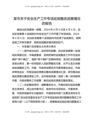 某市关于安全生产工作专项巡视整改进展情况的报告
