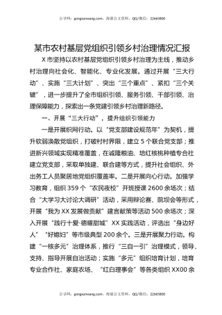 某市农村基层党组织引领乡村治理情况汇报