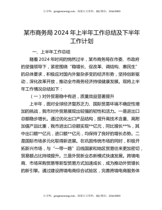某市商务局2024年上半年工作总结及下半年工作计划