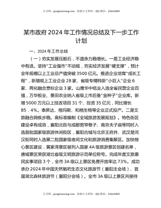某市政府2024年工作情况总结及下一步工作计划