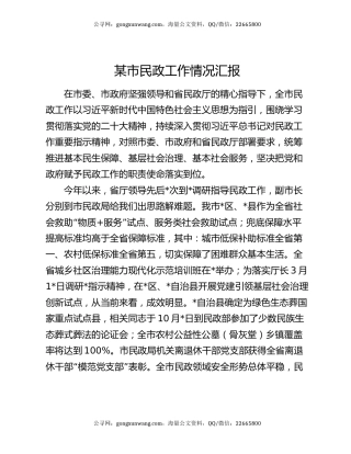 某市民政工作情况汇报