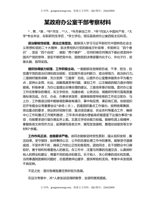 某政府办公室干部考察材料