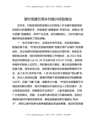 某村党建引领乡村振兴经验做法