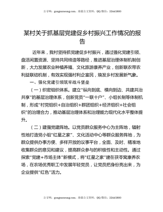 某村关于抓基层党建促乡村振兴工作情况的报告