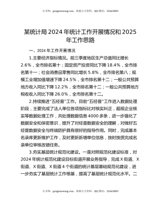 某统计局2024年统计工作开展情况和2025年工作思路