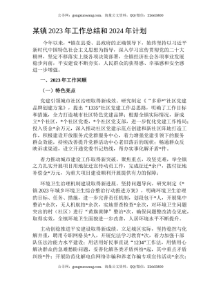 某镇2023年工作总结和2024年计划