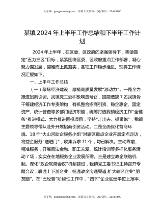 某镇2024年上半年工作总结和下半年工作计划