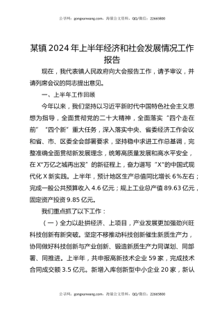 某镇2024年上半年经济和社会发展情况工作报告