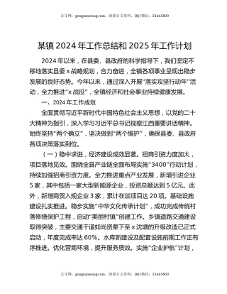 某镇2024年工作总结和2025年工作计划