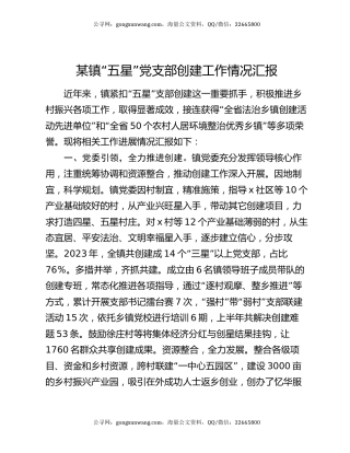 某镇“五星”党支部创建工作情况汇报