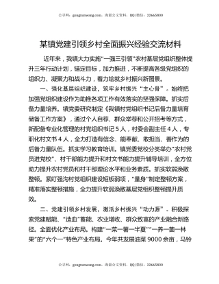 某镇党建引领乡村全面振兴经验交流材料