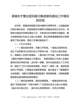 某镇关于整治歪风陋习推进移风易俗工作情况的总结