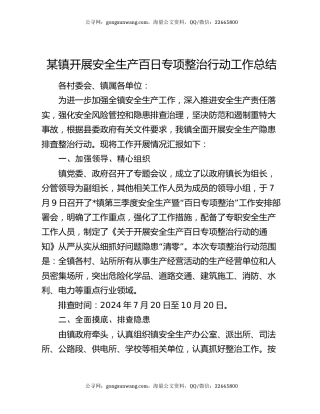 某镇开展安全生产百日专项整治行动工作总结
