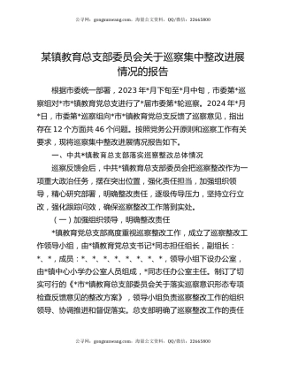 某镇教育总支部委员会关于巡察集中整改进展情况的报告