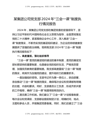 某集团公司党支部2024年“三会一课”制度执行情况报告
