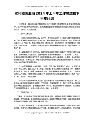 水利和湖泊局2024年上半年工作总结和下半年计划