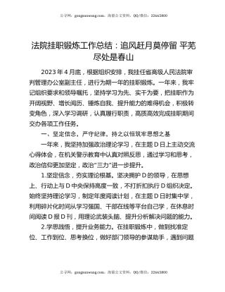 法院挂职锻炼工作总结：追风赶月莫停留  平芜尽处是春山