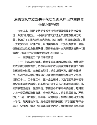 消防支队党支部关于落实全面从严治党主体责任情况的报告