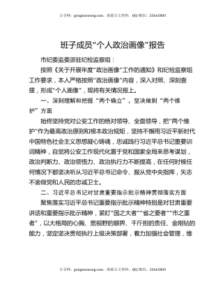 班子成员“个人政治画像”报告