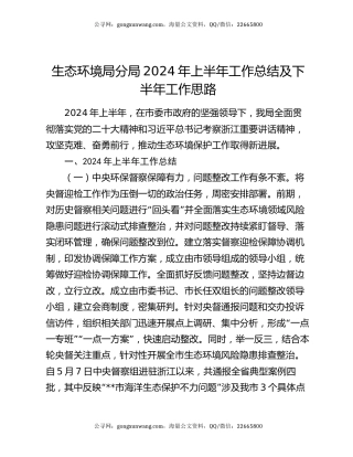 生态环境局分局2024年上半年工作总结及下半年工作思路