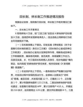 田长制、林长制工作推进情况报告