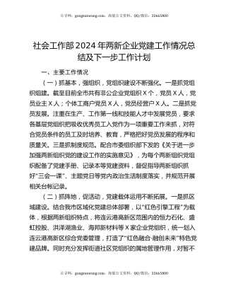 社会工作部2024年两新企业党建工作情况总结及下一步工作计划