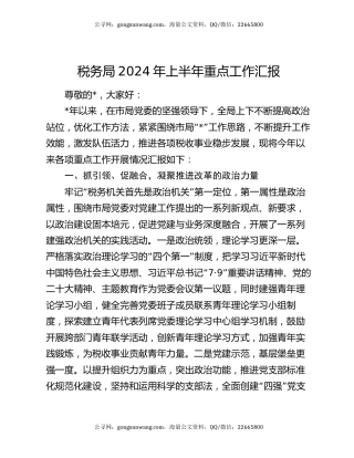税务局2024年上半年重点工作汇报
