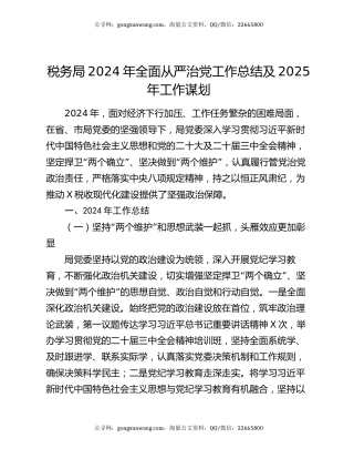 税务局2024年全面从严治党工作总结及2025年工作谋划