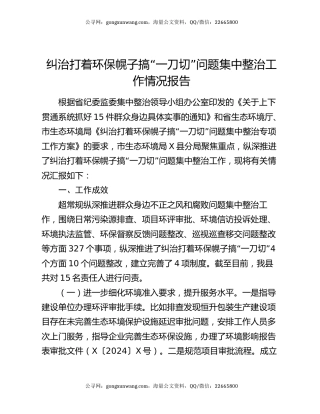 纠治打着环保幌子搞“一刀切”问题集中整治工作情况报告