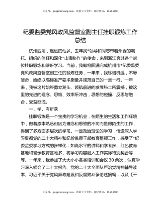 纪委监委党风政风监督室副主任挂职锻炼工作总结