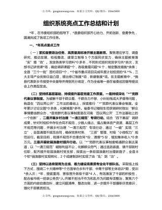 组织系统亮点工作总结和计划
