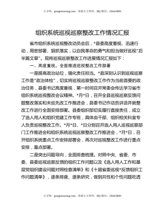 组织系统巡视巡察整改工作情况汇报