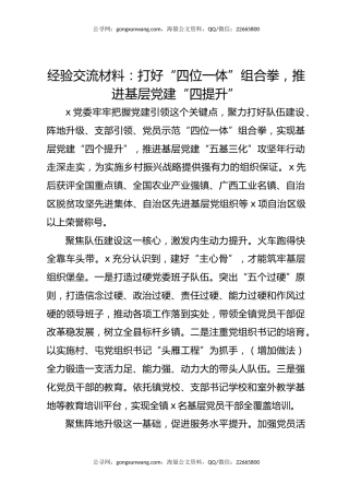 经验交流材料：打好“四位一体”组合拳 推进基层党建“四提升”