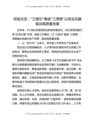 经验交流：“三指引”推进“三贯穿” 以党业互融驱动高质量发展