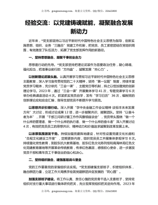 经验交流：以党建铸魂赋能，凝聚融合发展新动力