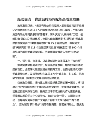 经验交流：党建品牌矩阵赋能高质量发展