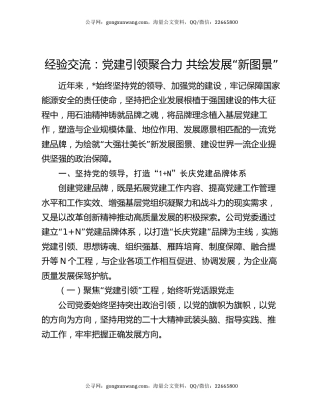 经验交流：党建引领聚合力 共绘发展“新图景”